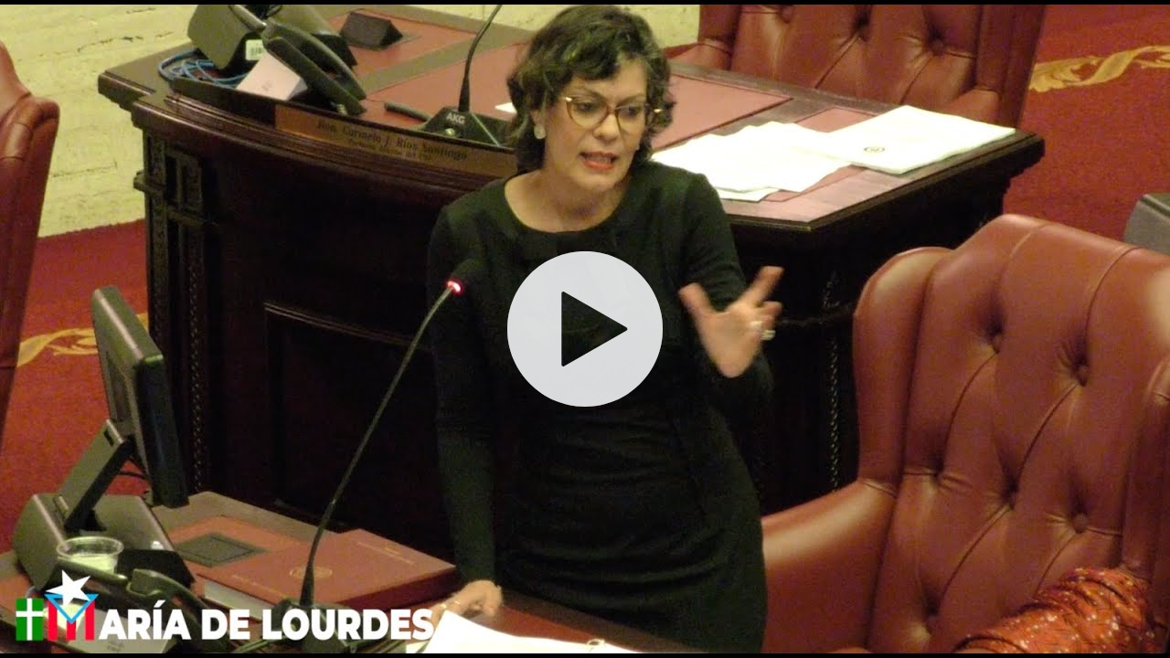 Informe de la Comisión Especial, sobre las deficiencias de los sistemas electrónicos MiPE y RemPRO