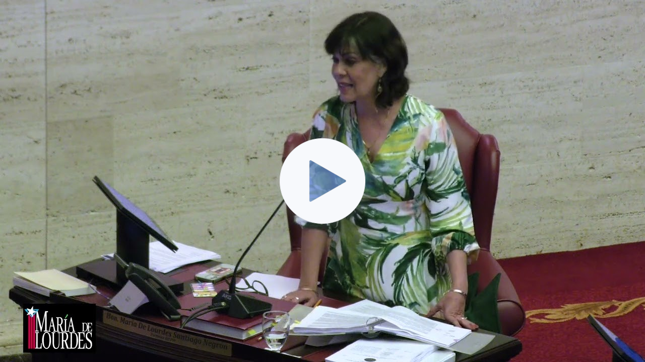 Registro de todas las empresas o negocios que operen, desarrollen o utilicen sistemas de IA