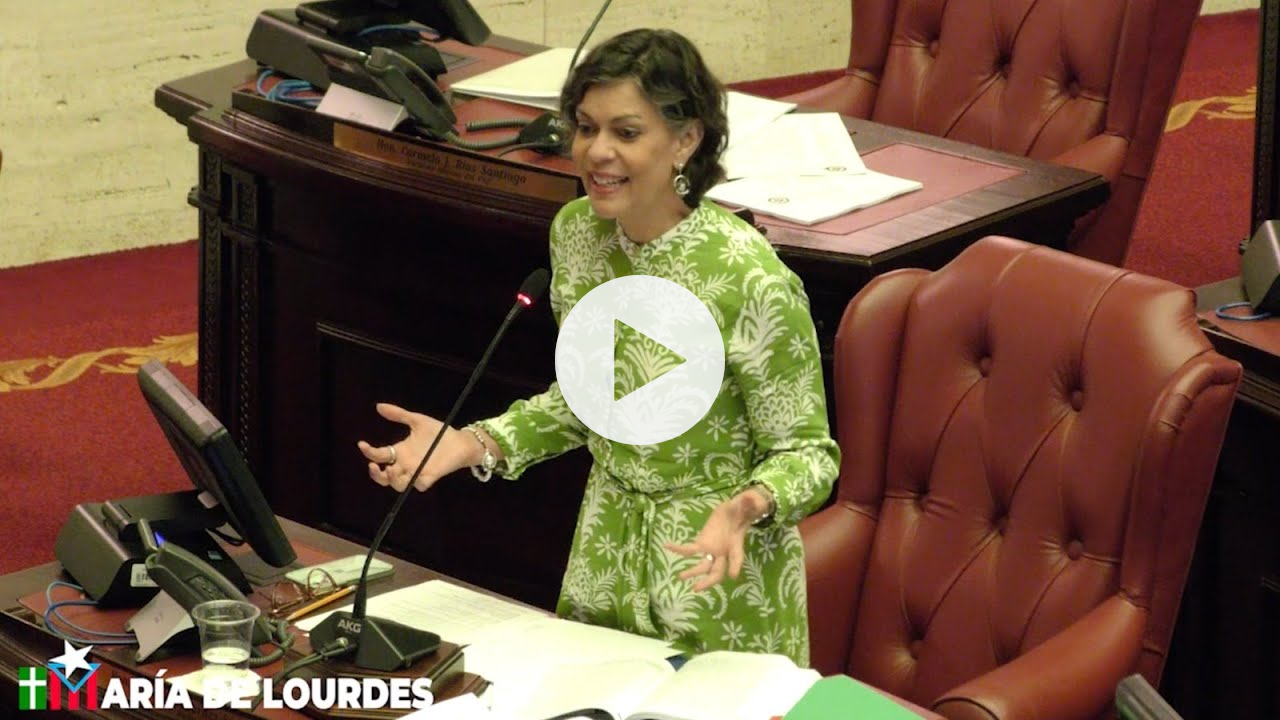 Comisión Especial para la Monitoría de Educación Especial del DE - Noveno Informe Parcial.