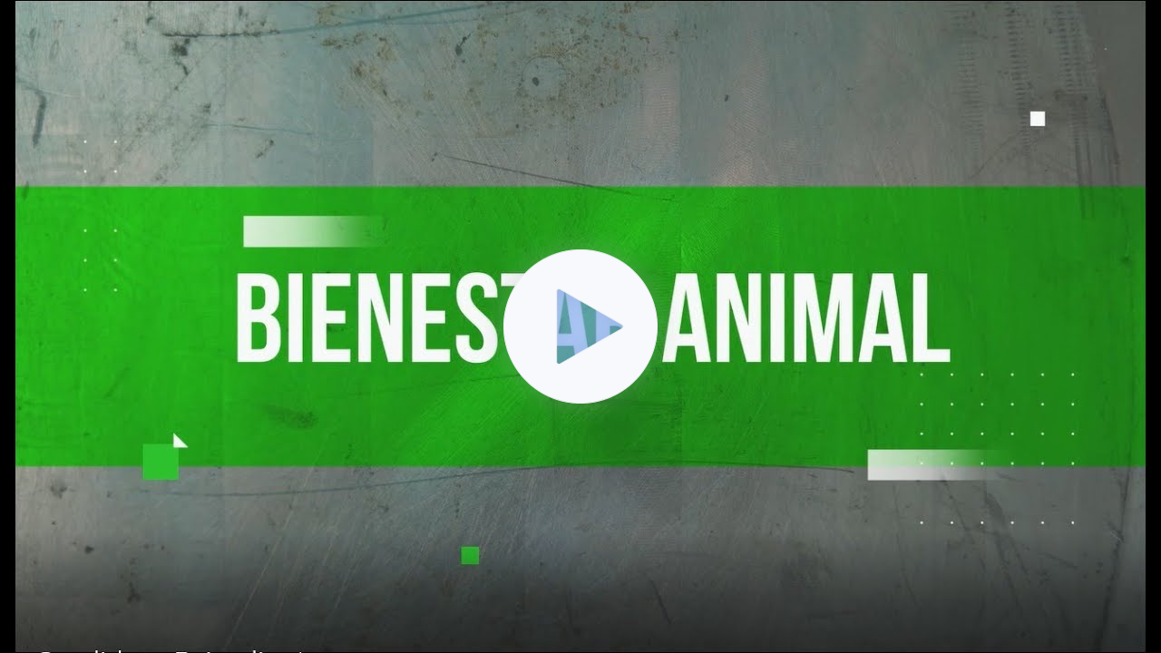 Una conversación muy especial con Anamari Ojeda Vilá #bienestaranimal