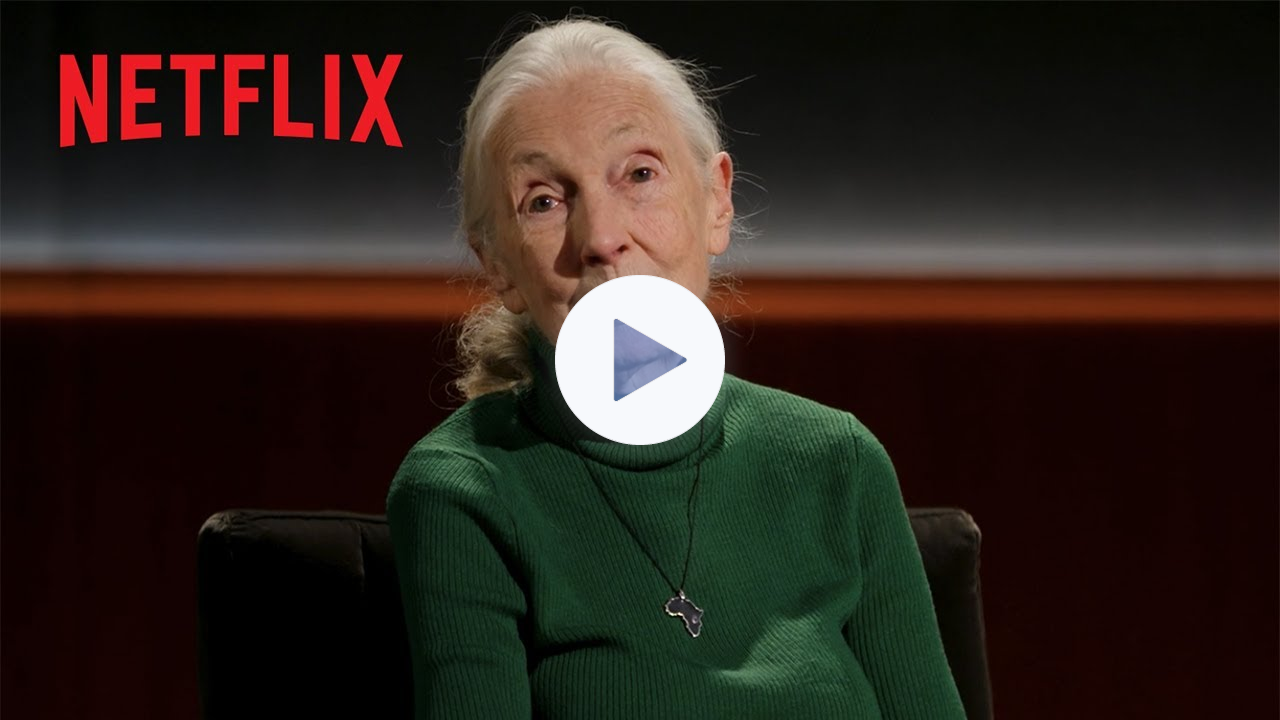 Dr. Jane Goodall's Final Message To The World | Famous Last Words | Netflix