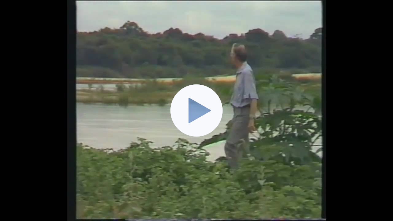 Pedro Casadáliga-English