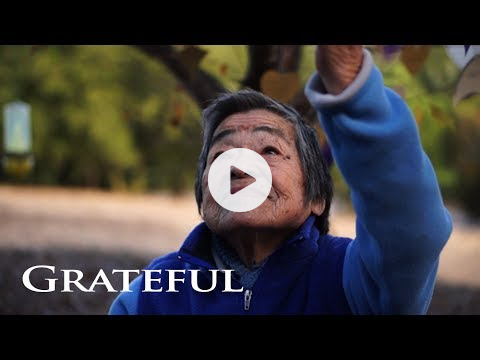 GRATEFUL: A Love Song to the World | Empty Hands Music | nimo feat. daniel nahmod