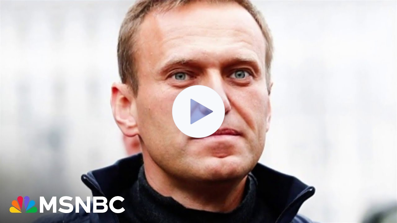 What Alexei Navalny wrote in his final letters from prison before dying