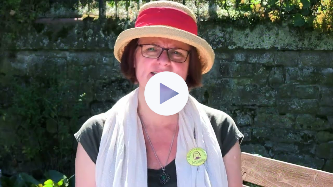 Hildegard's Message of Green Power and Responsibility - Station 6