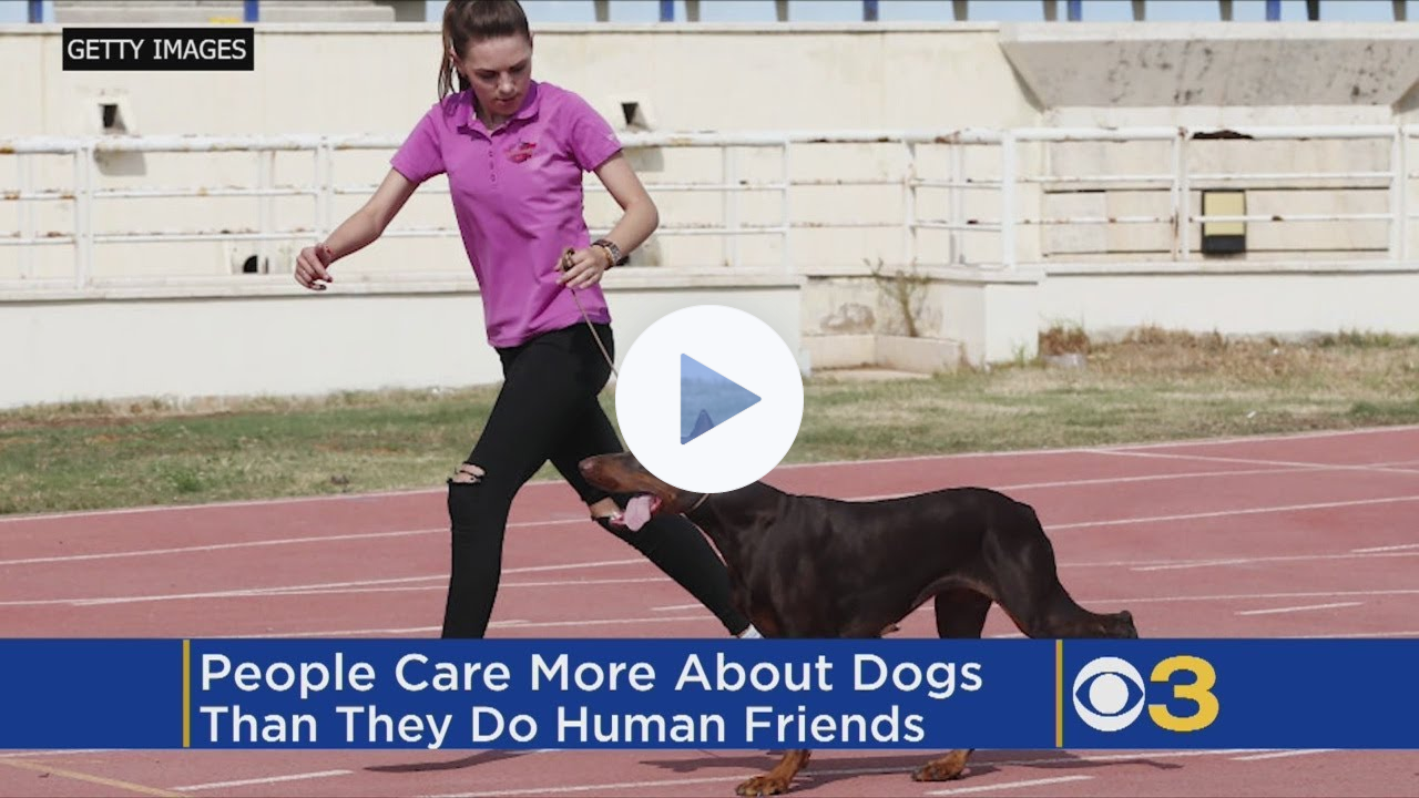 People Care More About Dogs Than Other Humans, Study Finds