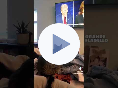 Cat Attacks Trump on TV Screen 🤣🤣🐕🦮🐈