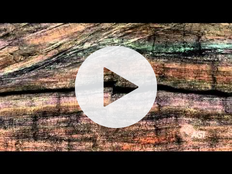 Big Idea 3: Earth's Systems Interact