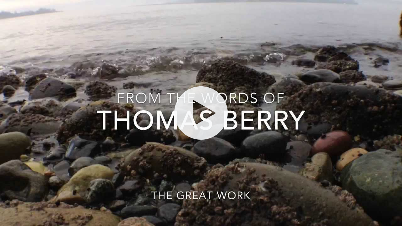 The Great Work by Thomas Berry