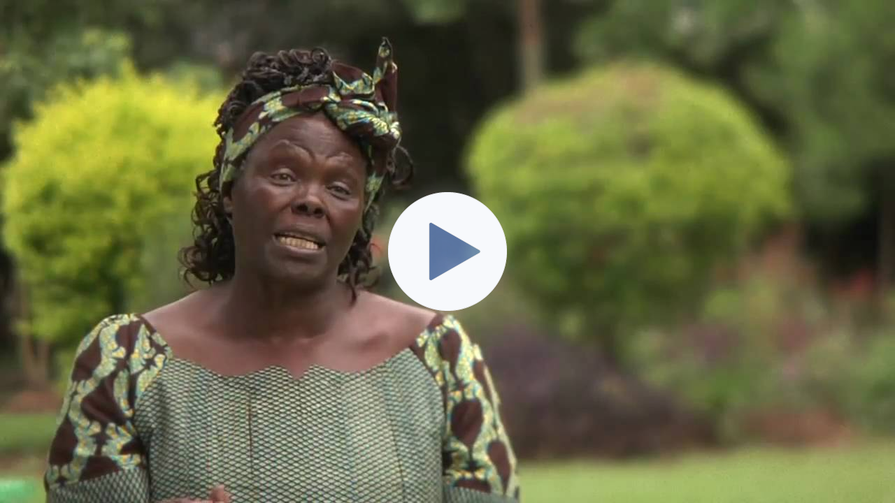 Wangari Maathai & The Green Belt Movement