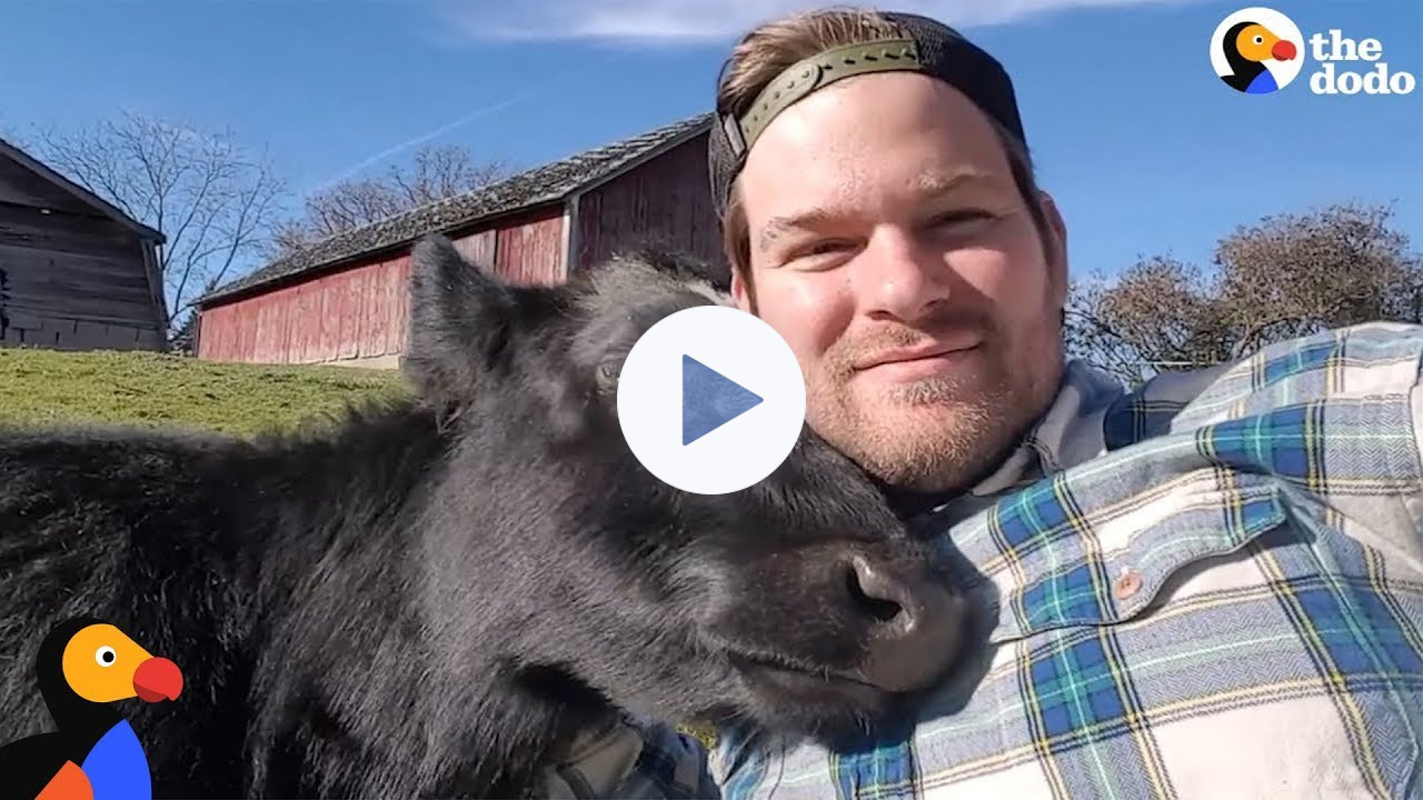 Amazing Man Turns Family Farm Into Animal Sanctuary | The Dodo
