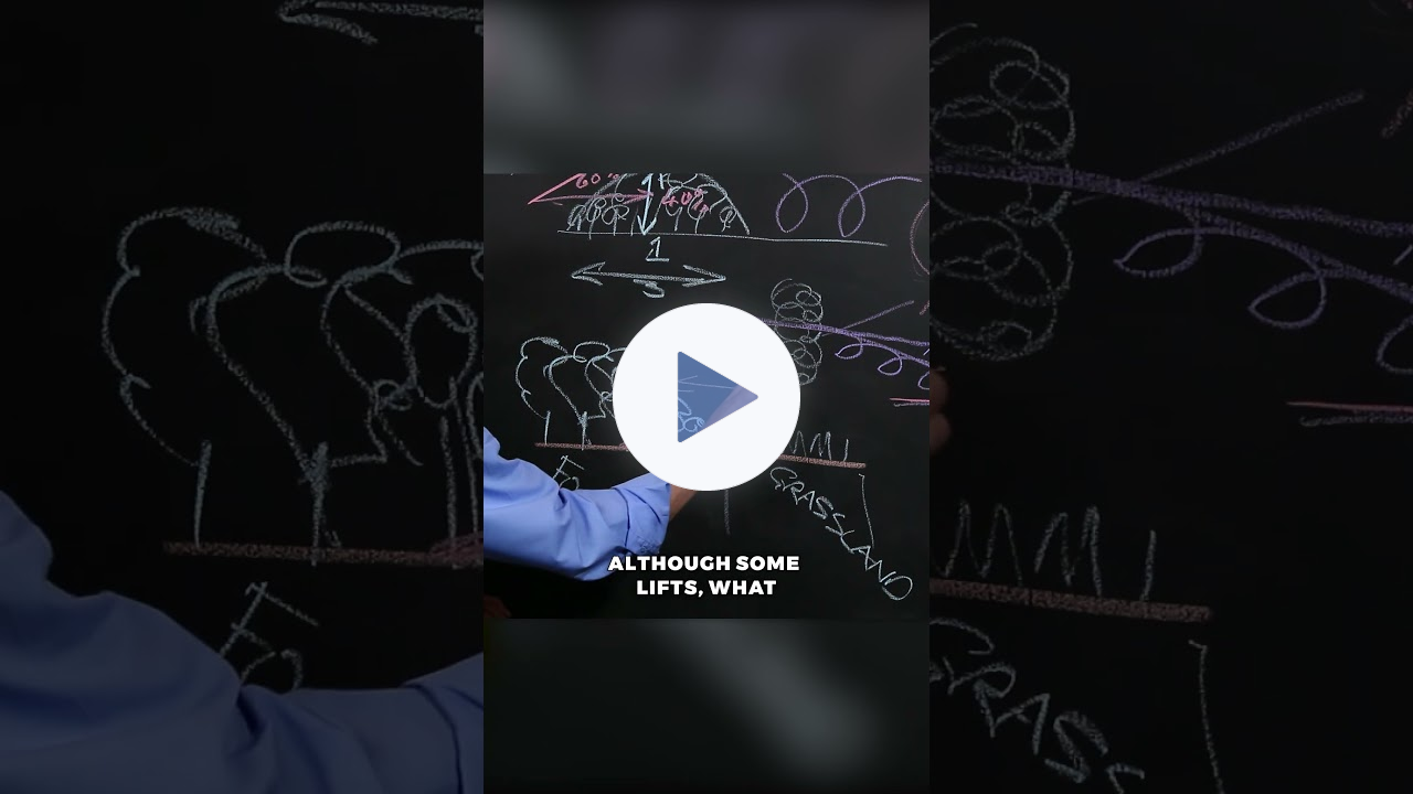 Understanding the Edge Effect #permaculture