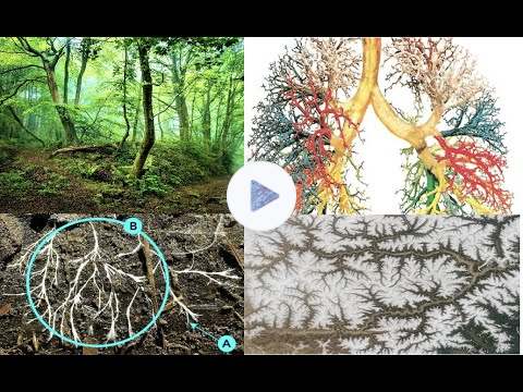 "Grand Liturgy of the Universe," continued