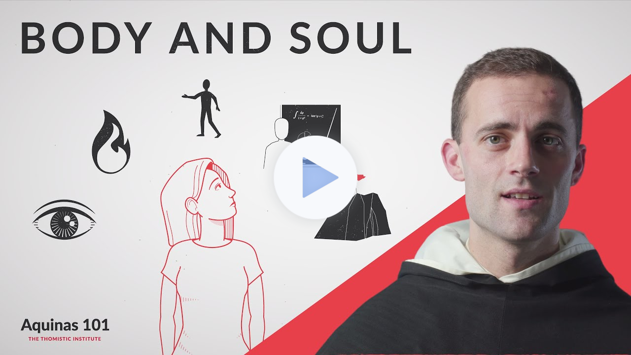 Body and Soul (Aquinas 101)