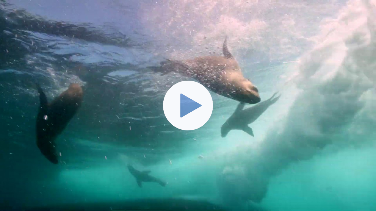 How to Save Our Planet