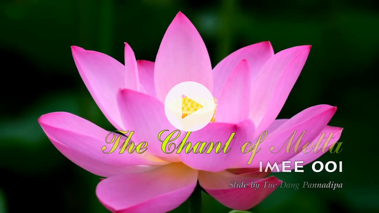 Metta Bhavana - Metta chanting