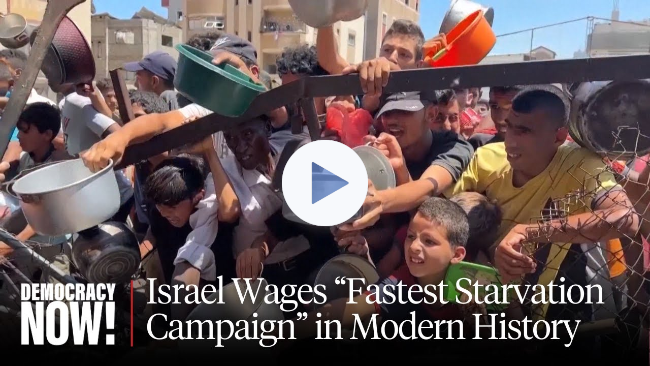 Israel Waging "Fastest Starvation Campaign" in Modern History: U.N. Special Rapporteur on Food