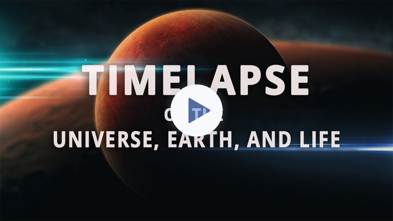 Timelapse of the Universe, Earth, and Life