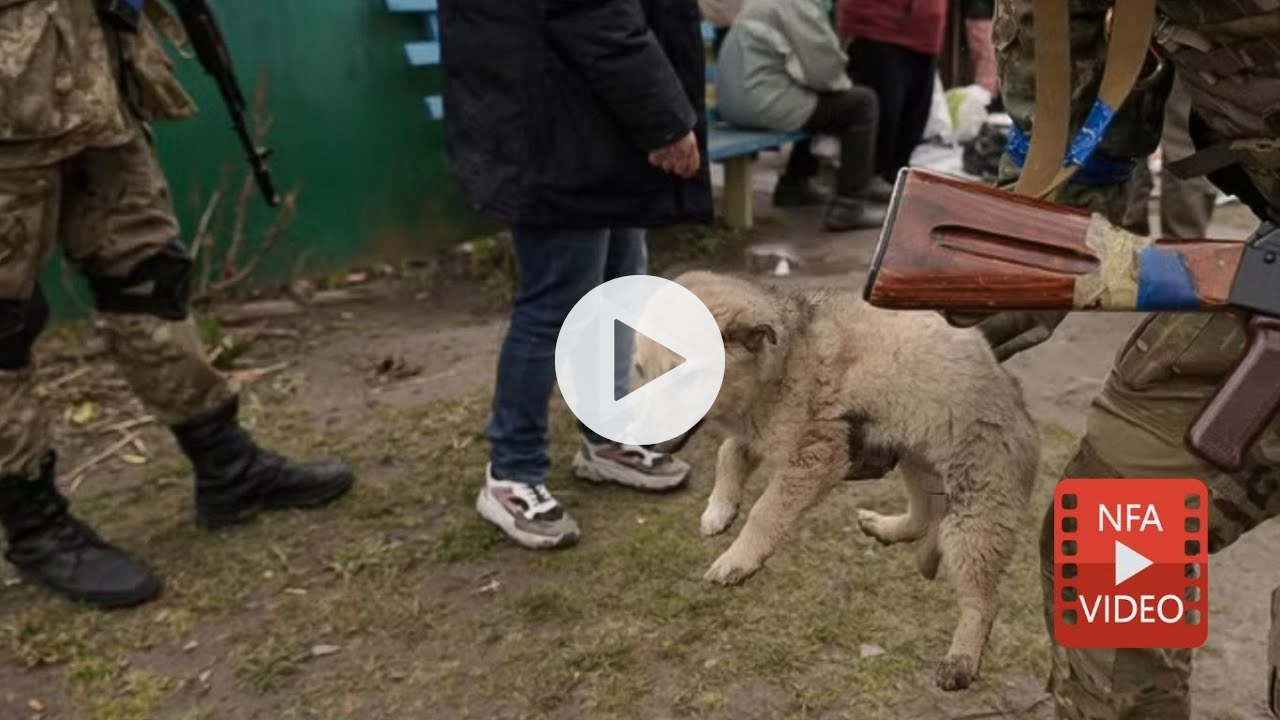 Russia is about to send thousands of troops into Ukraine. ANIMALS ARE IN DANGER!