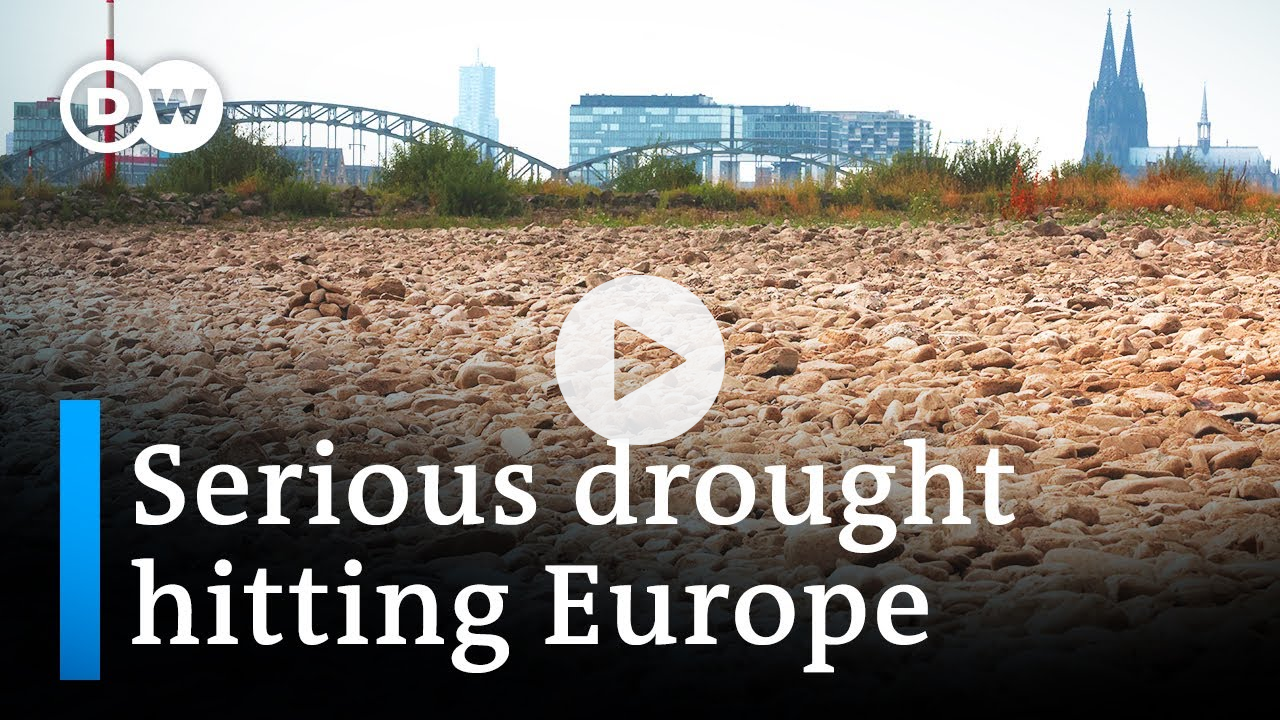 Europe's rivers are running dry as the climate crisis worsens | DW News