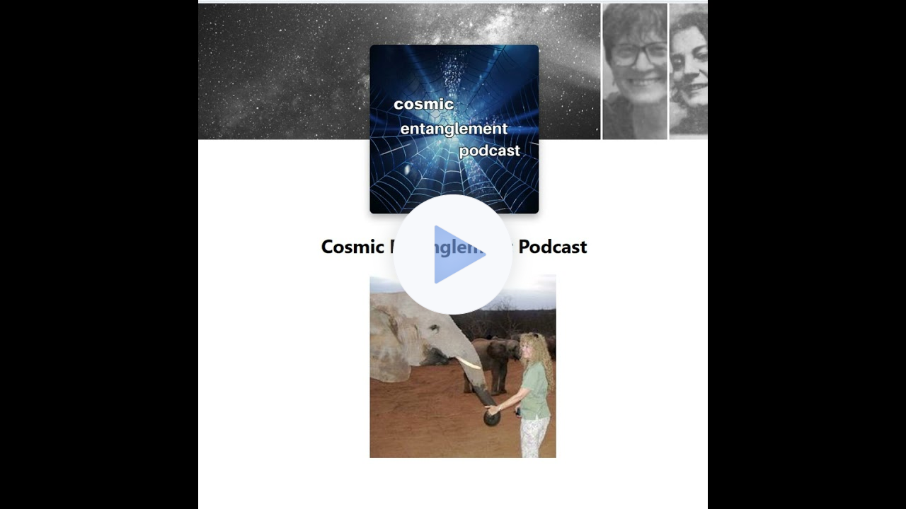 Kristal Parks - From Prison Bars to Saving Elephants: The Story of an Anti-War Activist - Ep 6