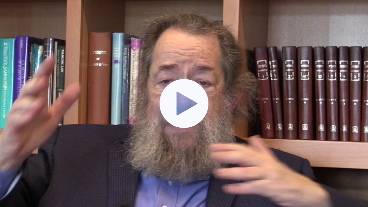 Finding Holiness in Life with Rabbi Arthur Green