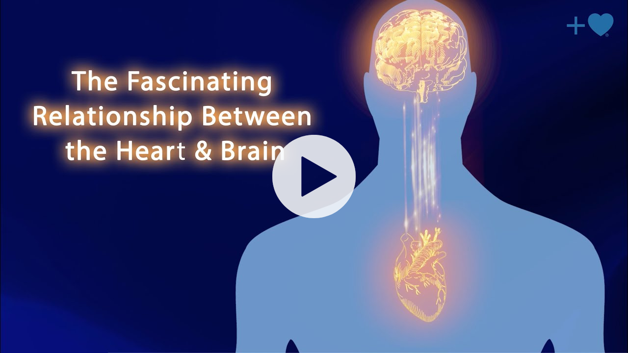 The Fascinating Relationship Between the Heart and Brain