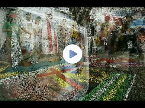 Dorothy Stang You will live forever