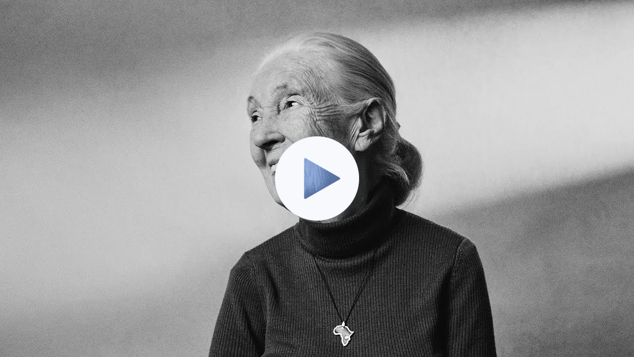 Dr. Jane Goodall: "It's been an amazing journey, this life of mine"