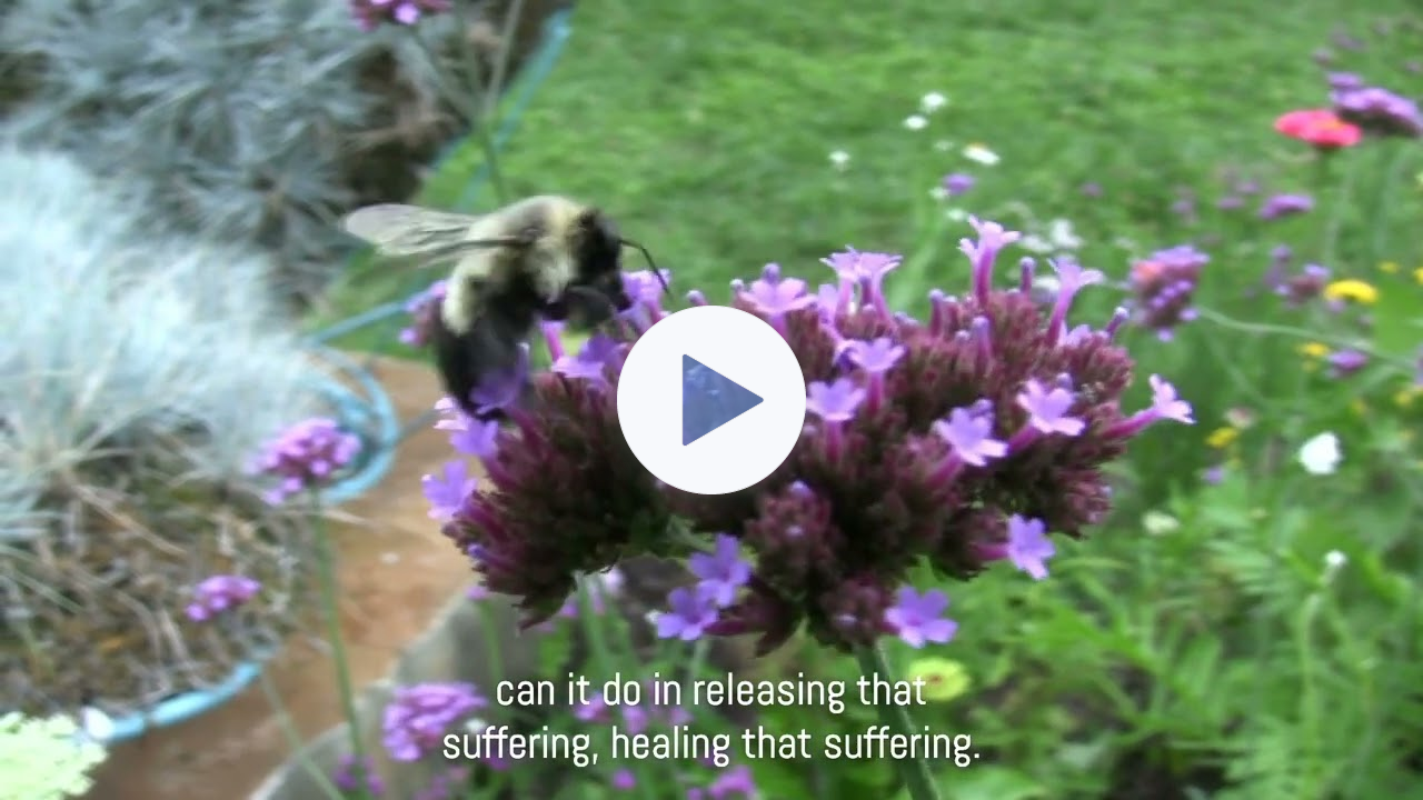 Permaculture at Findhorn with Craig Gibsone