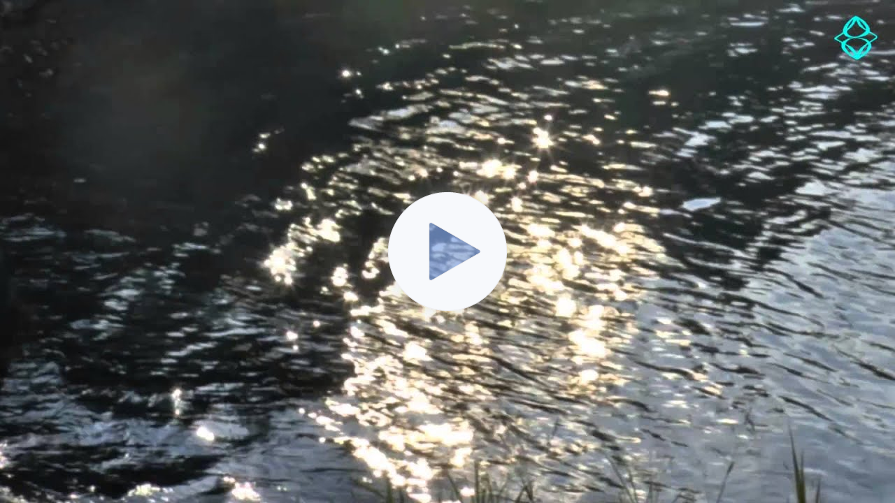 Call Me by My True Names ~ Thich Nhat Hanh