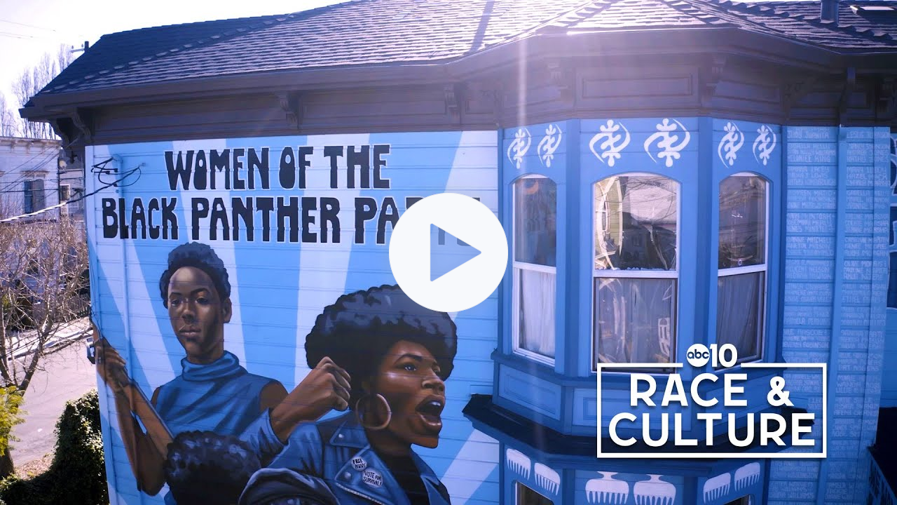 The Women of the Black Panther Party | Race and Culture