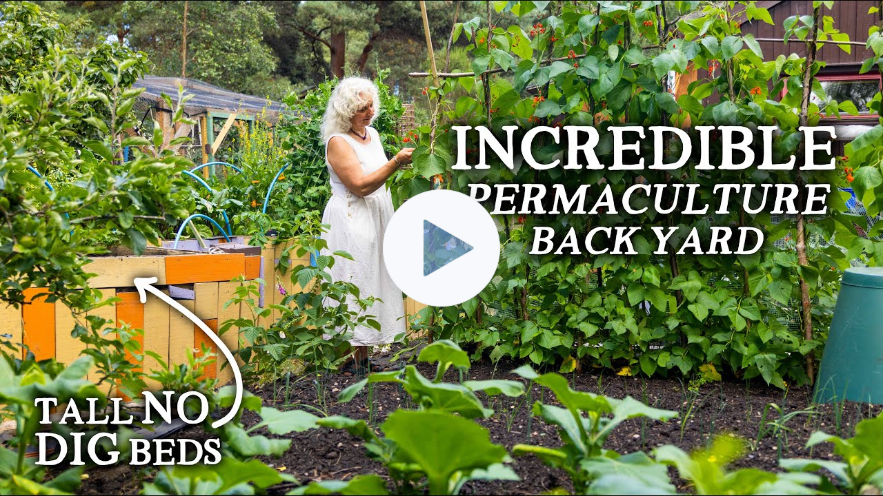 Amazing Tiny Vegetable Garden with Year-Round Abundance! | A Mini Permaculture Oasis