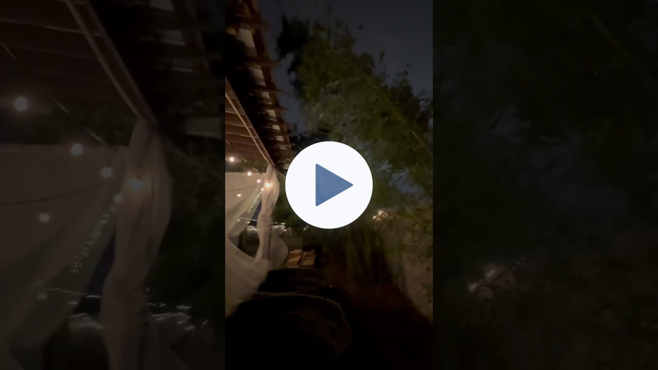 ￼ bamboo in high wind