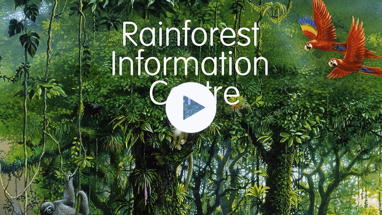 Joanna Macy age 93 talks about finding Deep Ecology Climate Change as Spiritual Practice