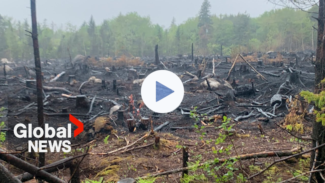 Wildfires rage across Canada, many out of control: "A lot of devastation"