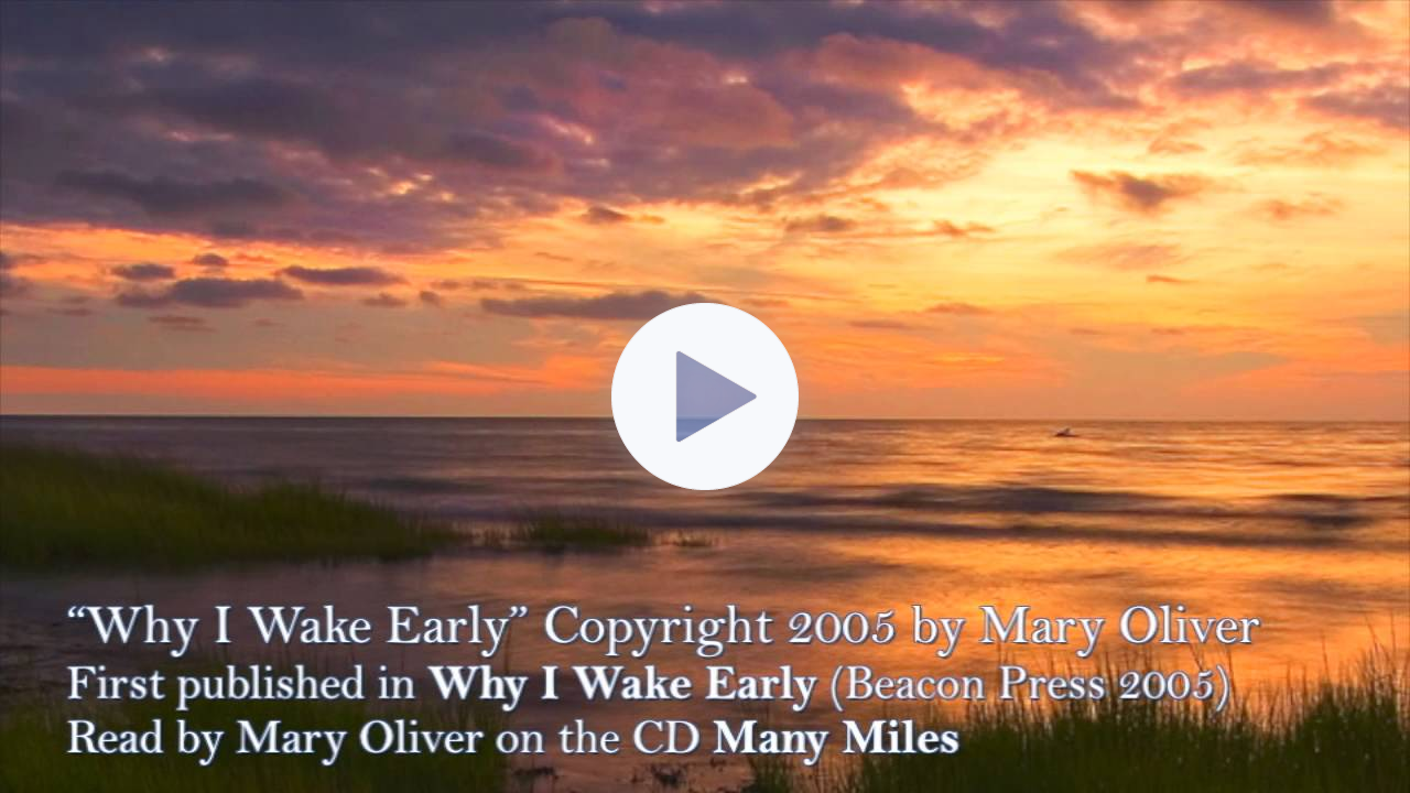 Why I Wake Early by Mary Oliver (read by the poet on Many Miles)