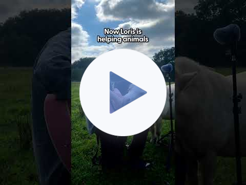 Guy Sings His Heart Out To Animals Everywhere He Goes | The Dodo