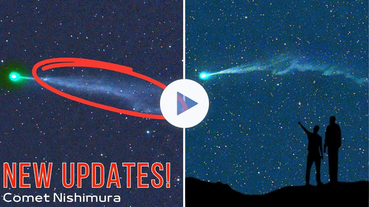 New Updates on Comet Nishimura, its tail got blown off by a solar storm, and It grew back! [Images]
