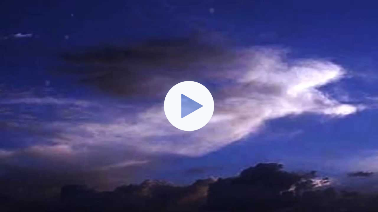 Hildegard von Bingen - O Viridissima virga - O Greenest branch