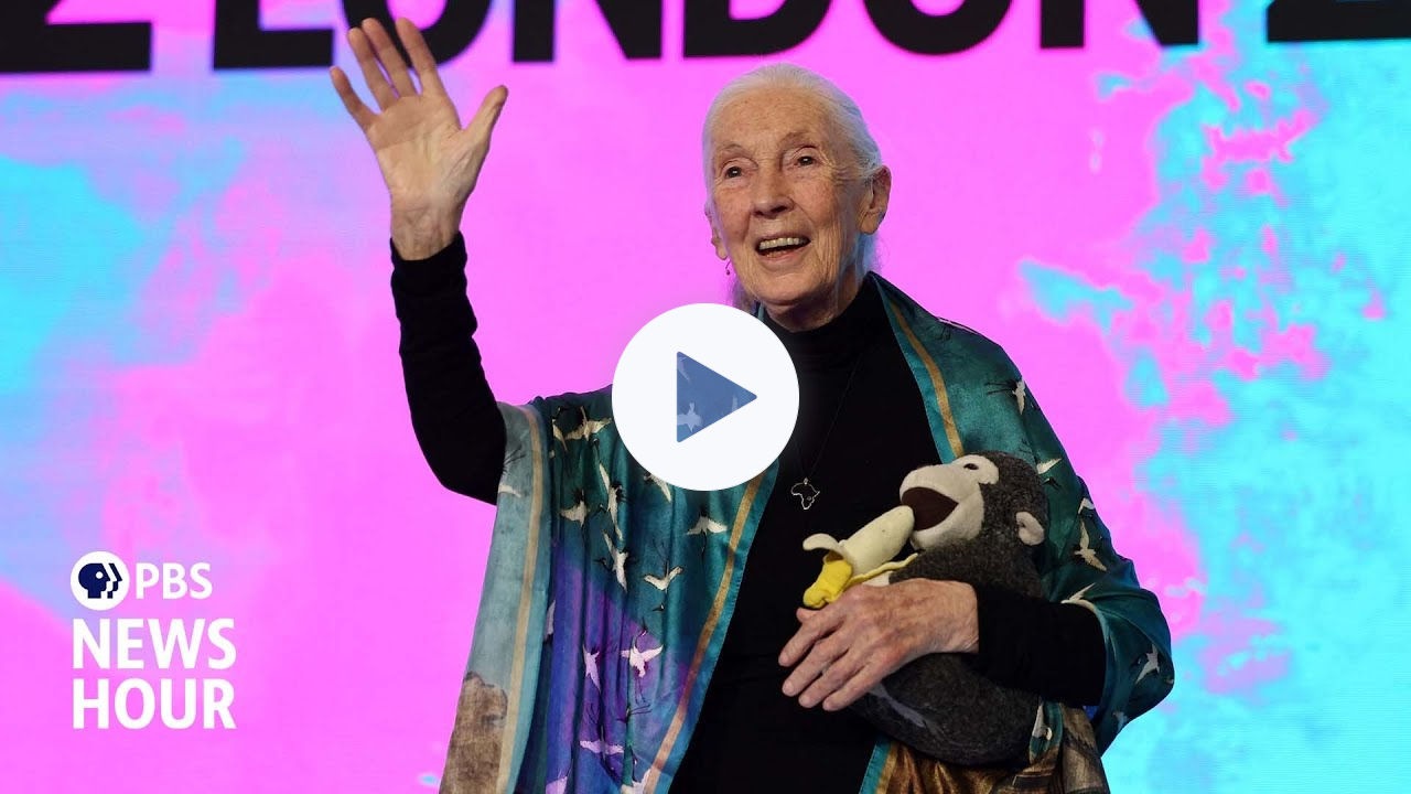 Remembering Jane Goodall and how she changed the way people see animals