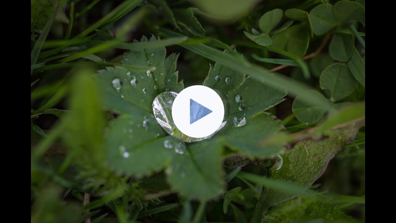 Merton Finding the Ground of Being in Nature