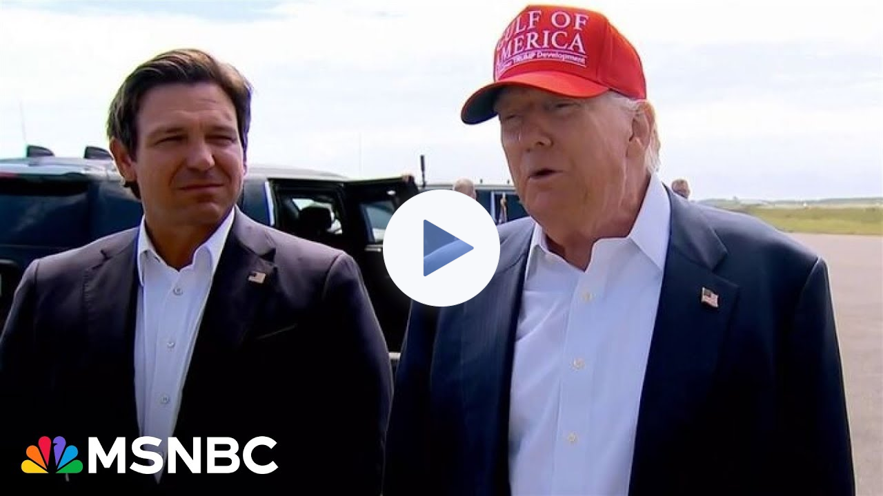 American dystopia: The cruel spectacle of Trump's 'Alligator Alcatraz'