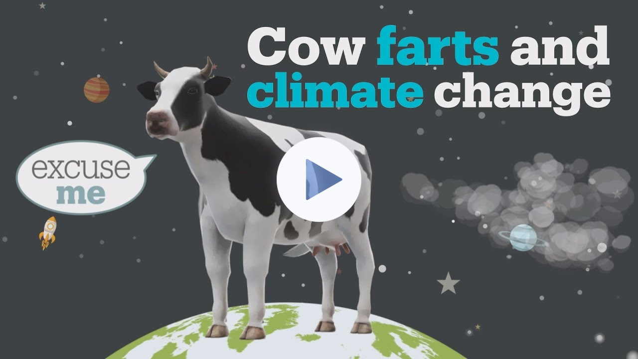 Cow farts and climate change