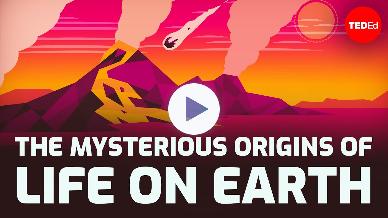 The mysterious origins of life on Earth - Luka Seamus Wright