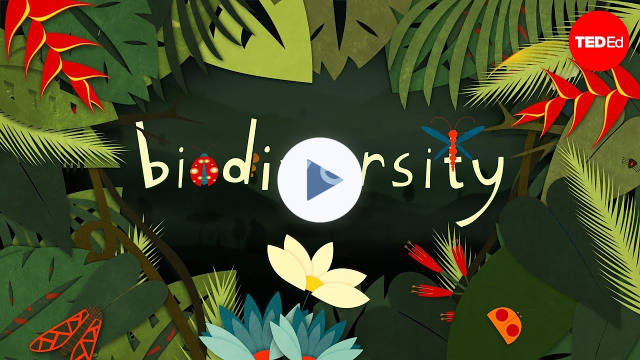 Why is biodiversity so important? - Kim Preshoff