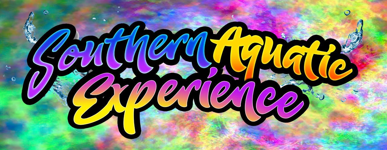 Southern Aquatic Experience 2026 banner