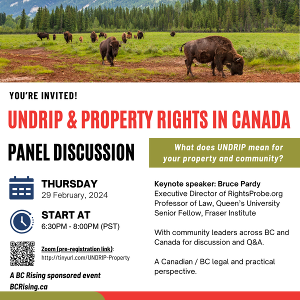 UNDRIP & PROTERTY RIGHTS IN CANADA