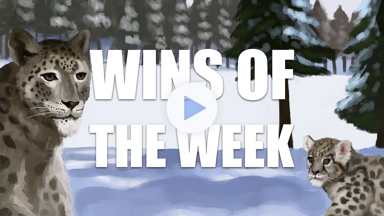 Wins of the Week Episode 109