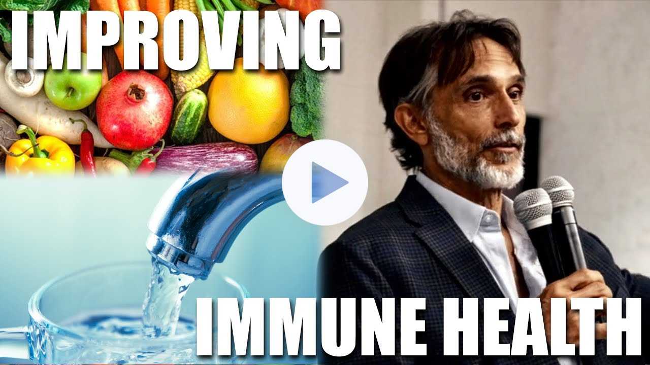 The Foundations of a Healthy Immune System